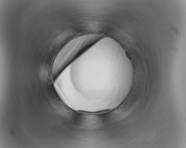 X0000112970528200909241329