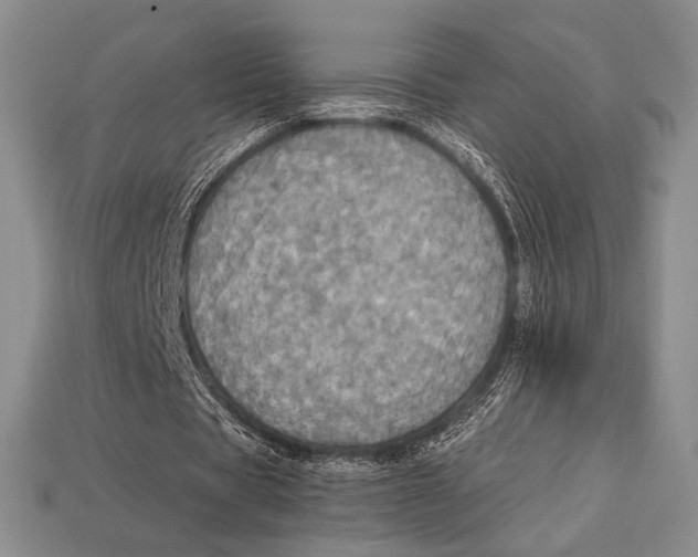 X0000112970529200909241328