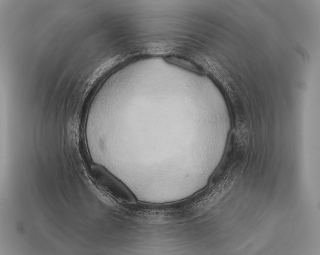 X0000112970530200909241328