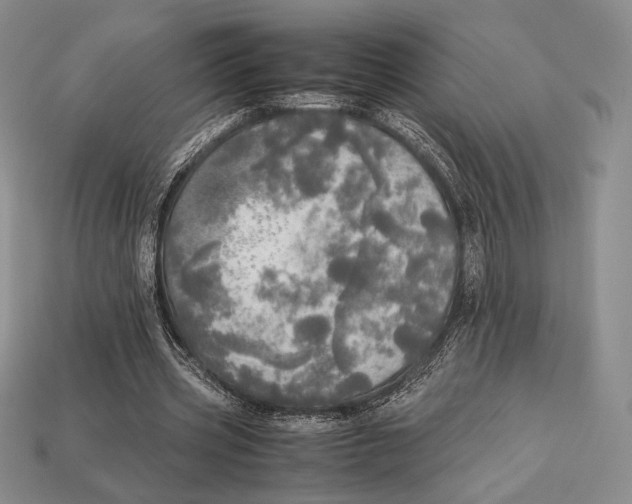 X0000112970533200909241328