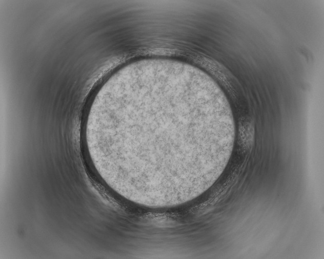 X0000112970534200909241328