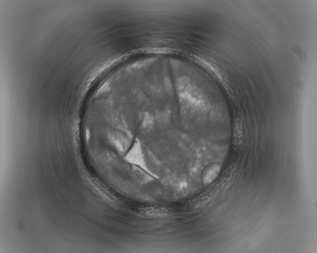 X0000112970535200909241329