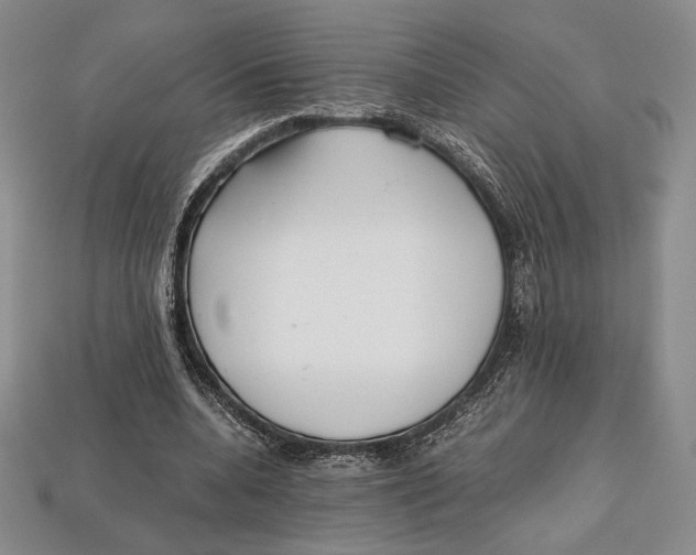 X0000112970536200909241329