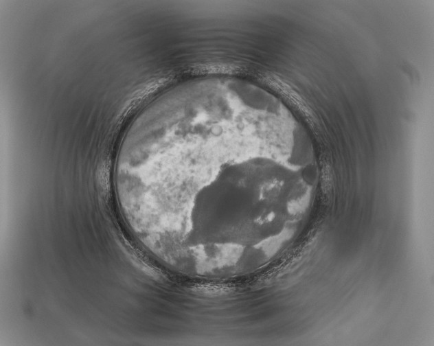 X0000112970537200909241329