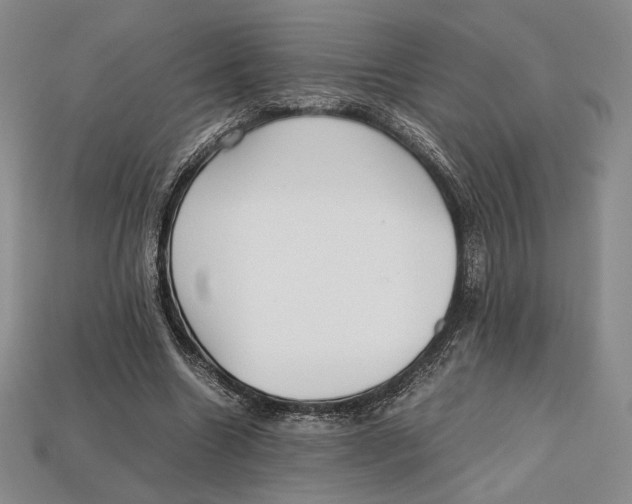 X0000112970538200909241329
