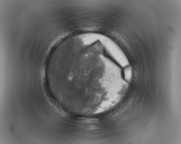 X0000112970539200909241329