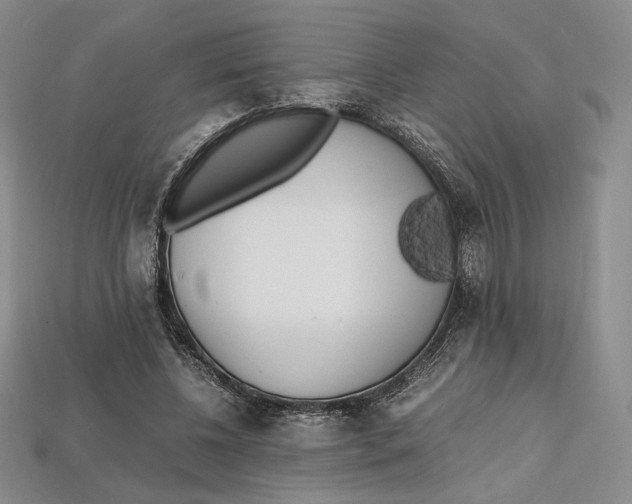 X0000112970540200909241329