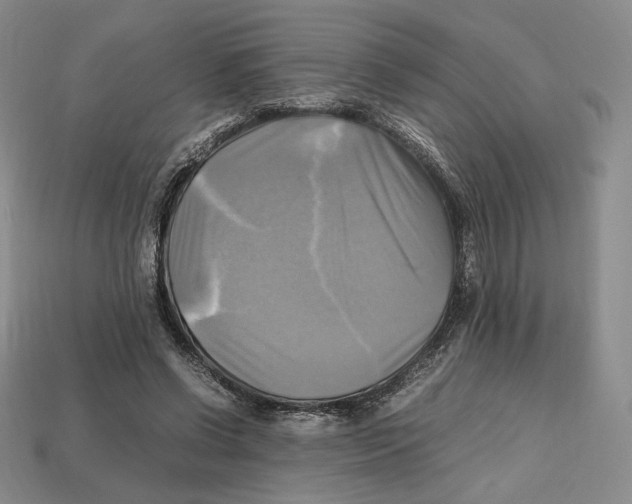 X0000112970542200909241329