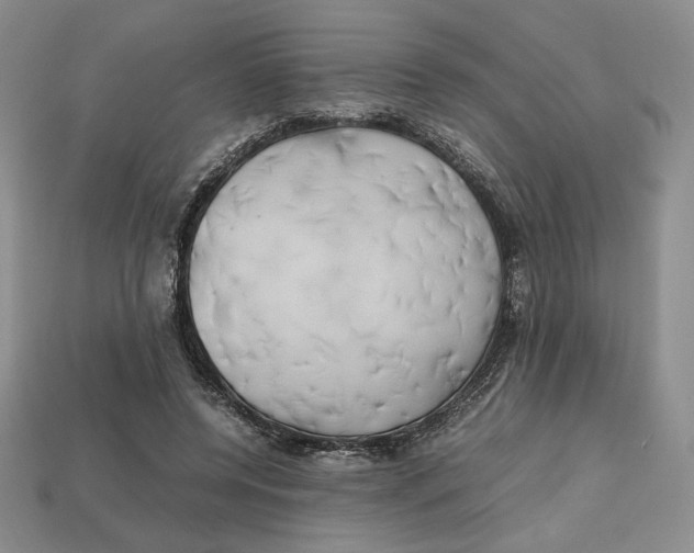 X0000112970544200909241329