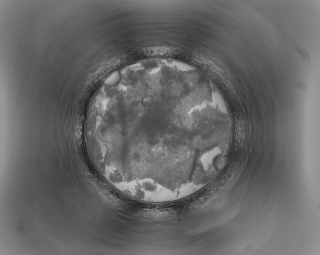 X0000112970545200909241329
