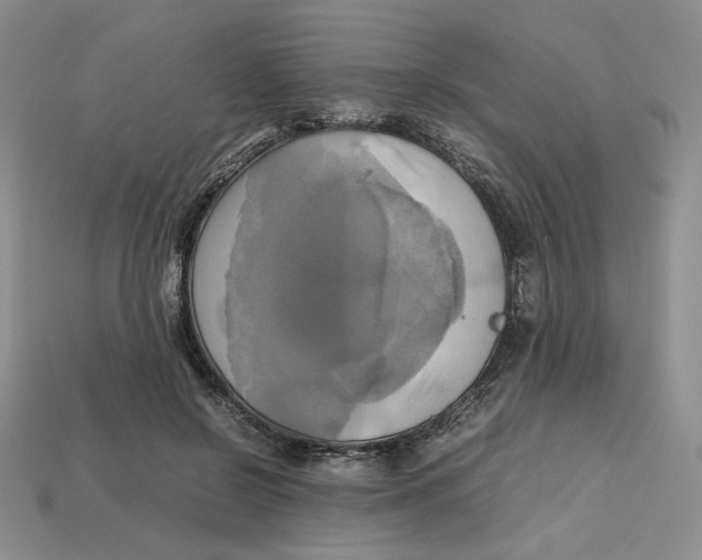 X0000112970550200909241329