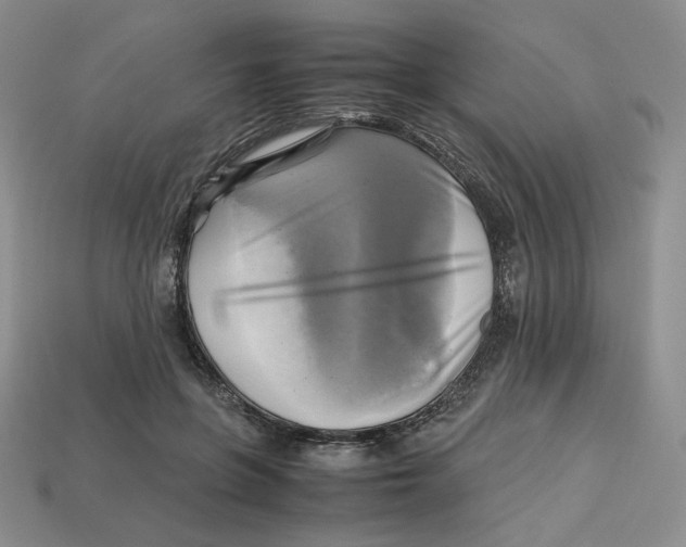 X0000112970551200909241329
