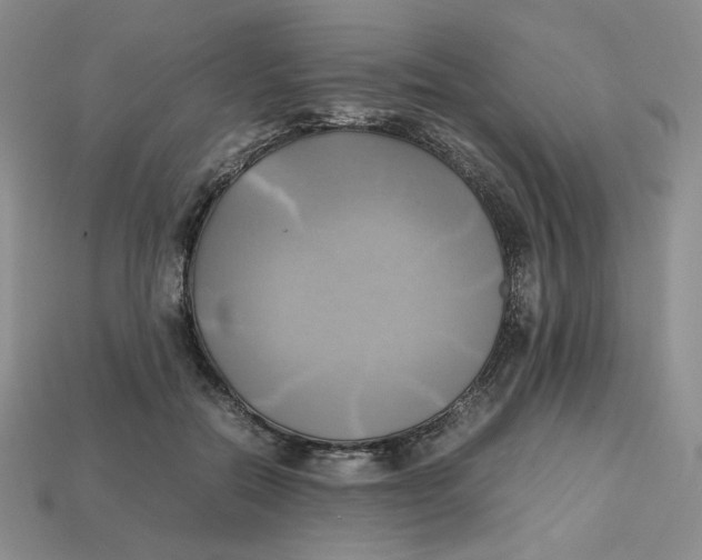 X0000112970554200909241329
