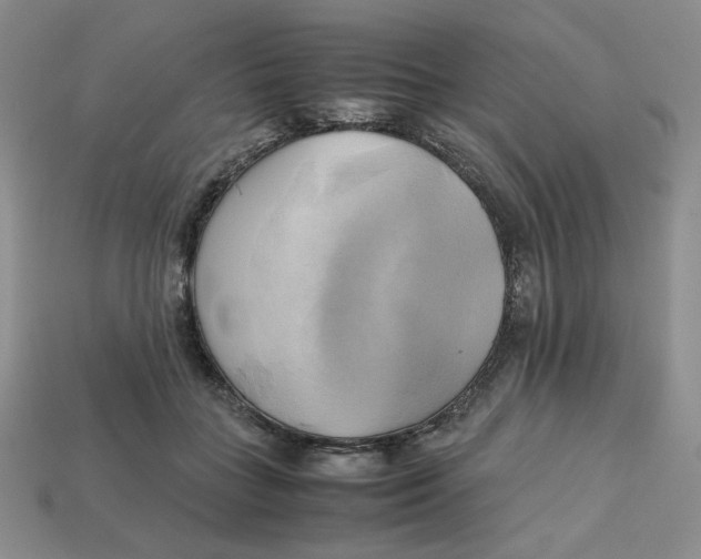 X0000112970555200909241329