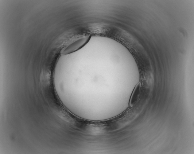 X0000112970556200909241329