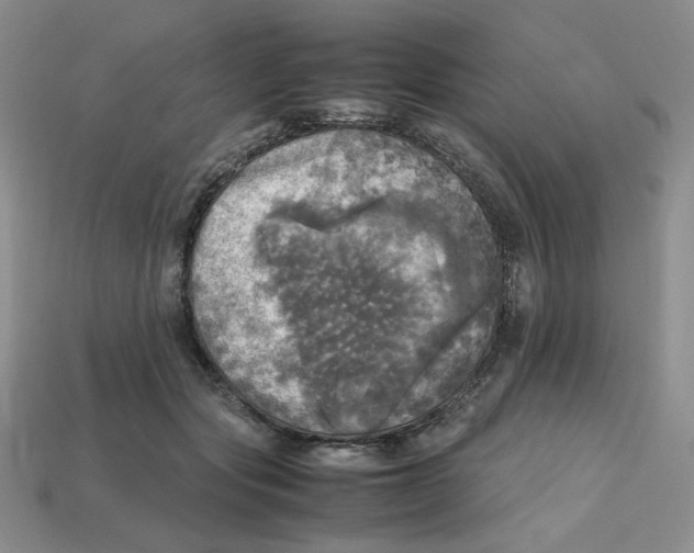 X0000112970557200909241329