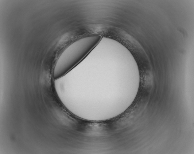 X0000112970558200909241329