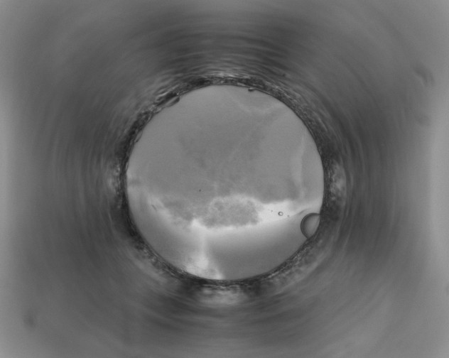 X0000112970559200909241329