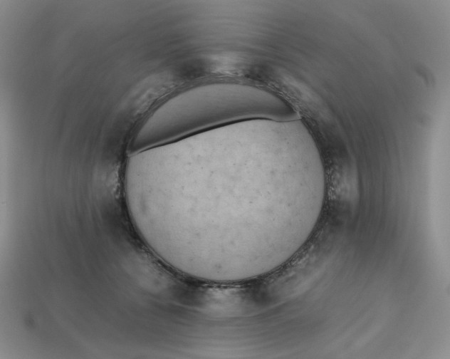 X0000112970560200909241329
