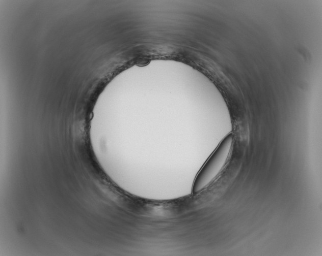 X0000112970564200909241329