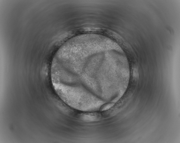 X0000112970567200909241329