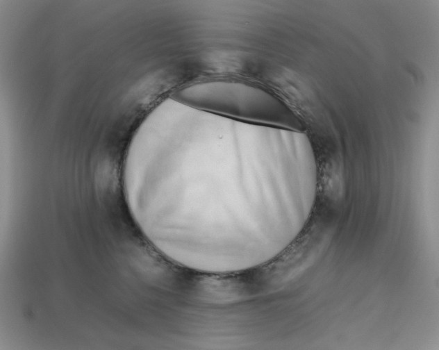 X0000112970568200909241329