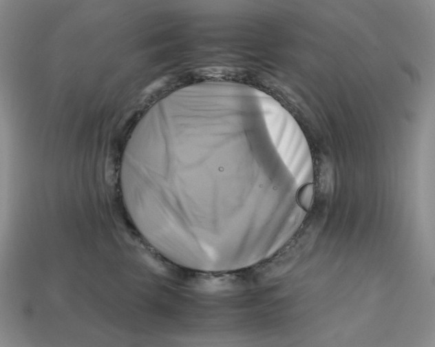 X0000112970569200909241329