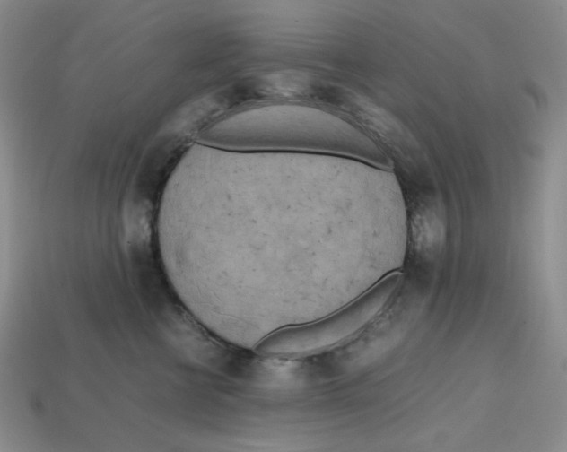 X0000112970570200909241329