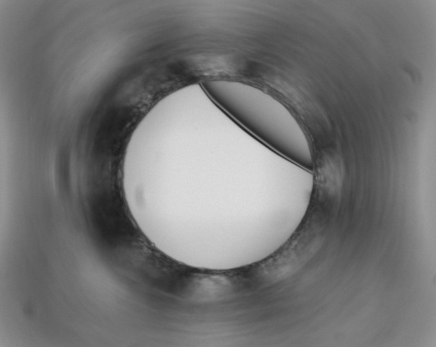 X0000112970572200909241329