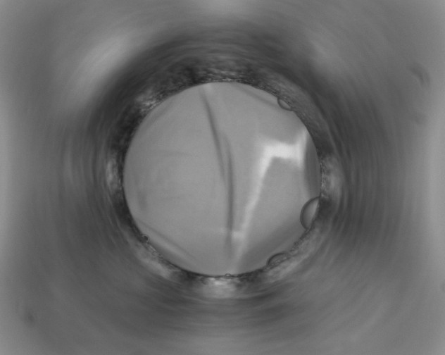 X0000112970573200909241329