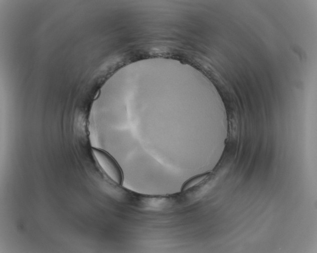 X0000112970575200909241329