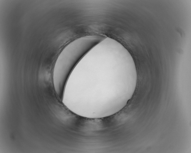 X0000112970576200909241329