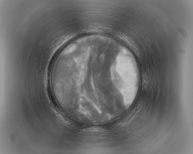 X0000112970578200909241328