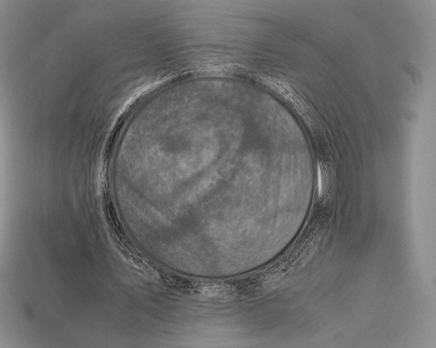 X0000112970579200909241328