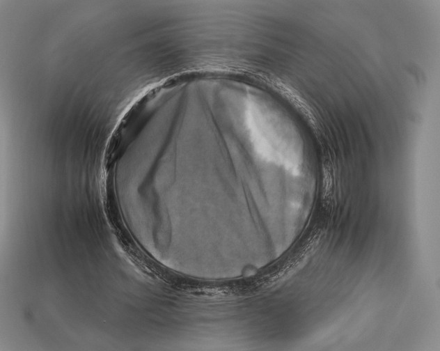 X0000112970580200909241328