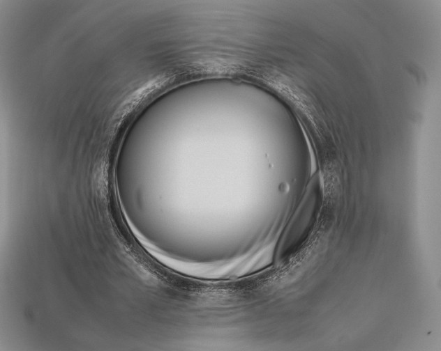 X0000112970581200909241328
