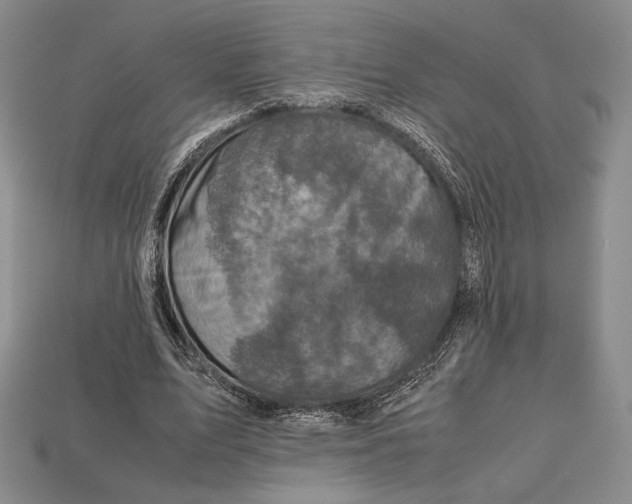 X0000112970583200909241328