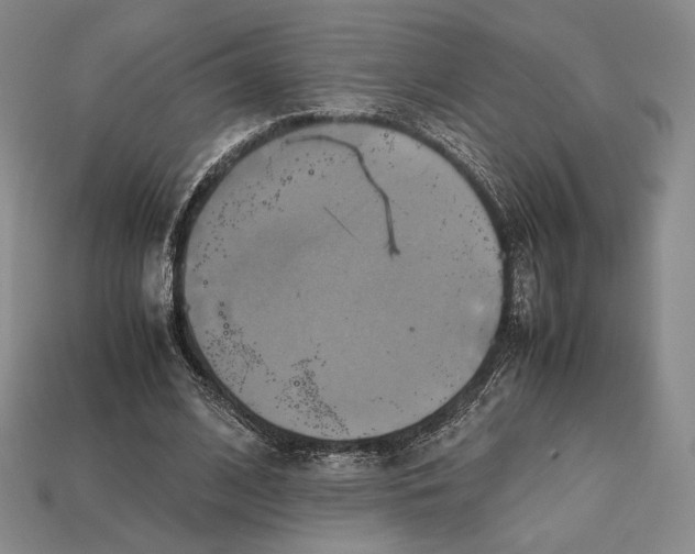 X0000112970584200909241328