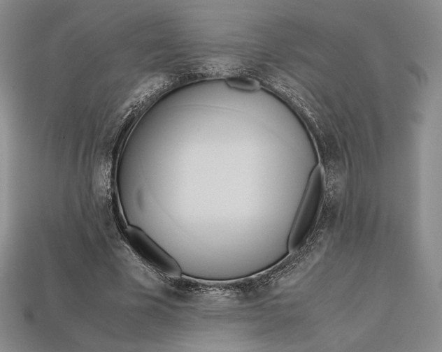 X0000112970585200909241328
