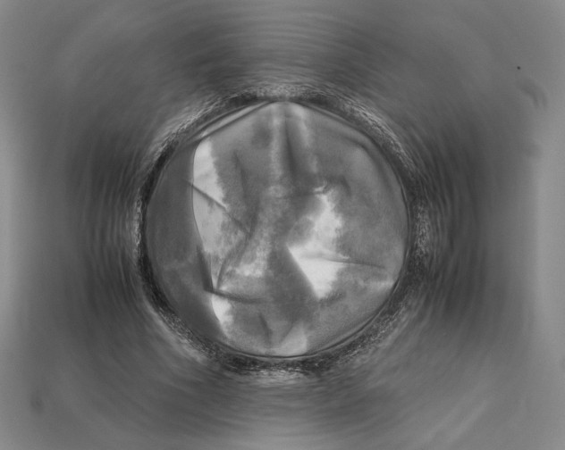 X0000112970586200909241328