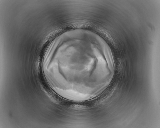X0000112970590200909241328