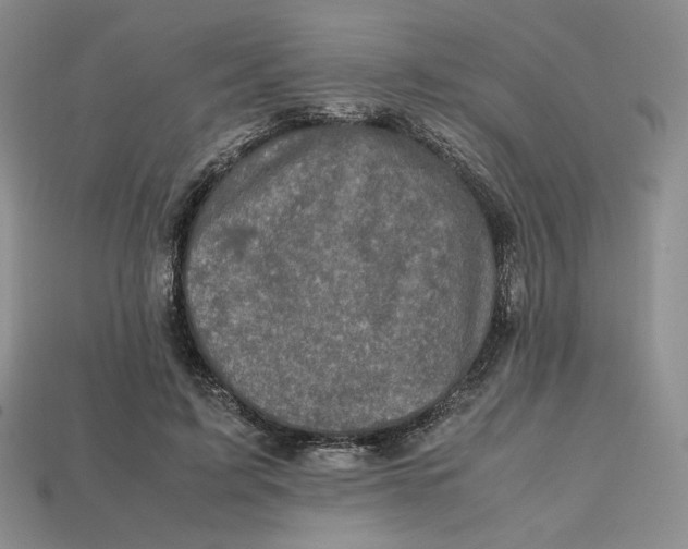 X0000112970595200909241328