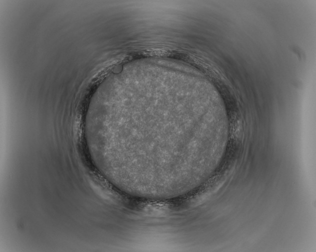 X0000112970599200909241328