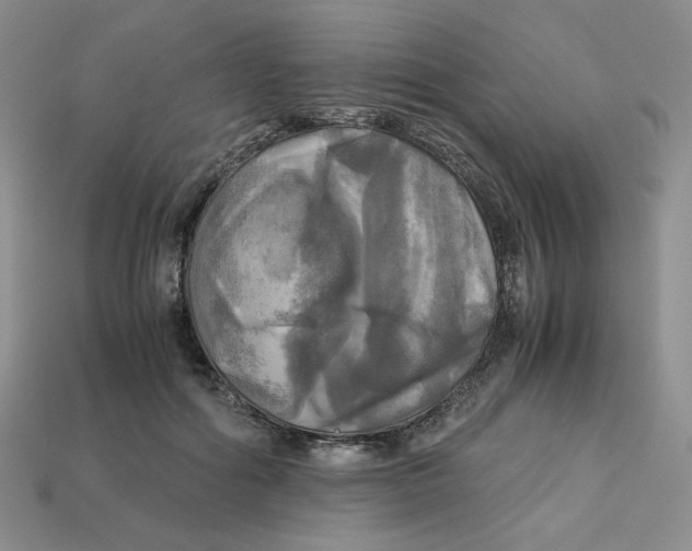 X0000112970602200909241328