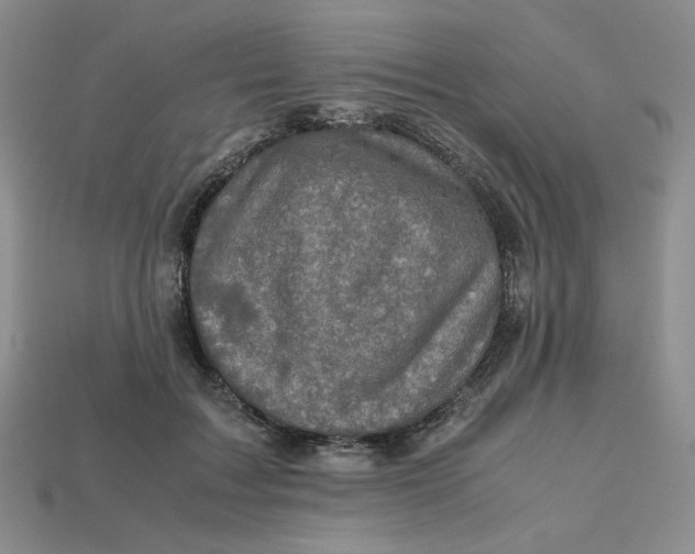 X0000112970603200909241328