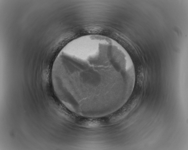 X0000112970604200909241328