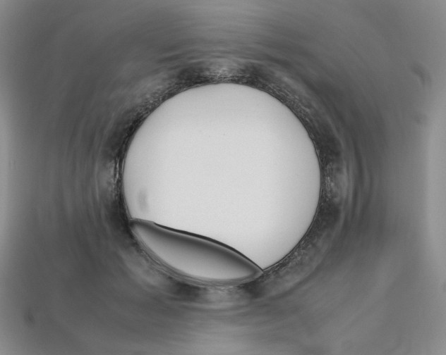 X0000112970605200909241328