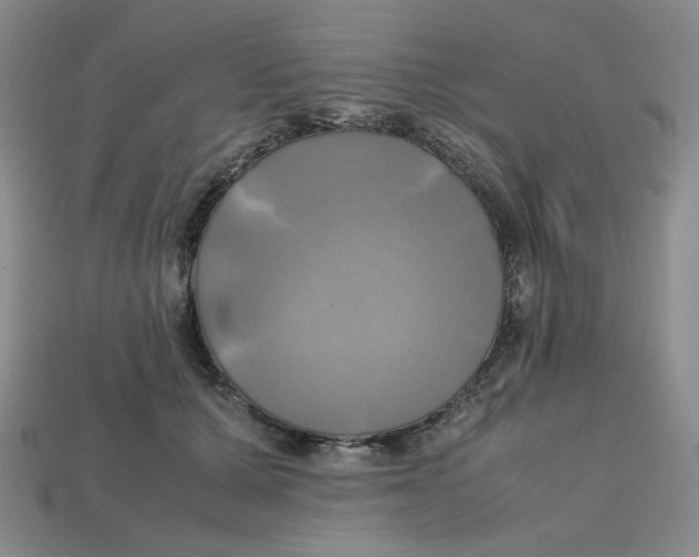 X0000112970607200909241328