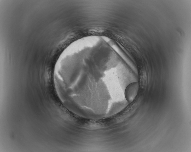 X0000112970608200909241328