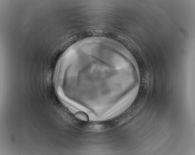 X0000112970610200909241328
